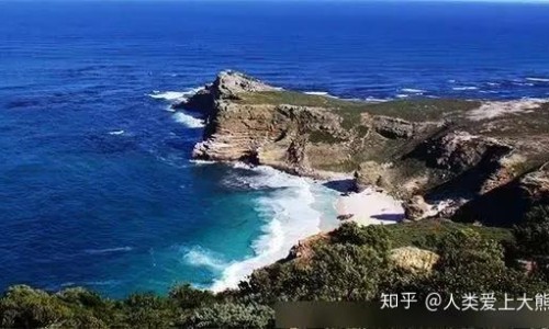药用石斛有什么禁忌网- 药用石斛有哪些品种知识,分享石斛的用药禁忌