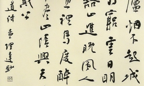 药用石斛和铁皮石斛的区别-药用石斛有什么禁忌网- 药用石斛有哪些品种知识,分享石斛的用药禁忌
